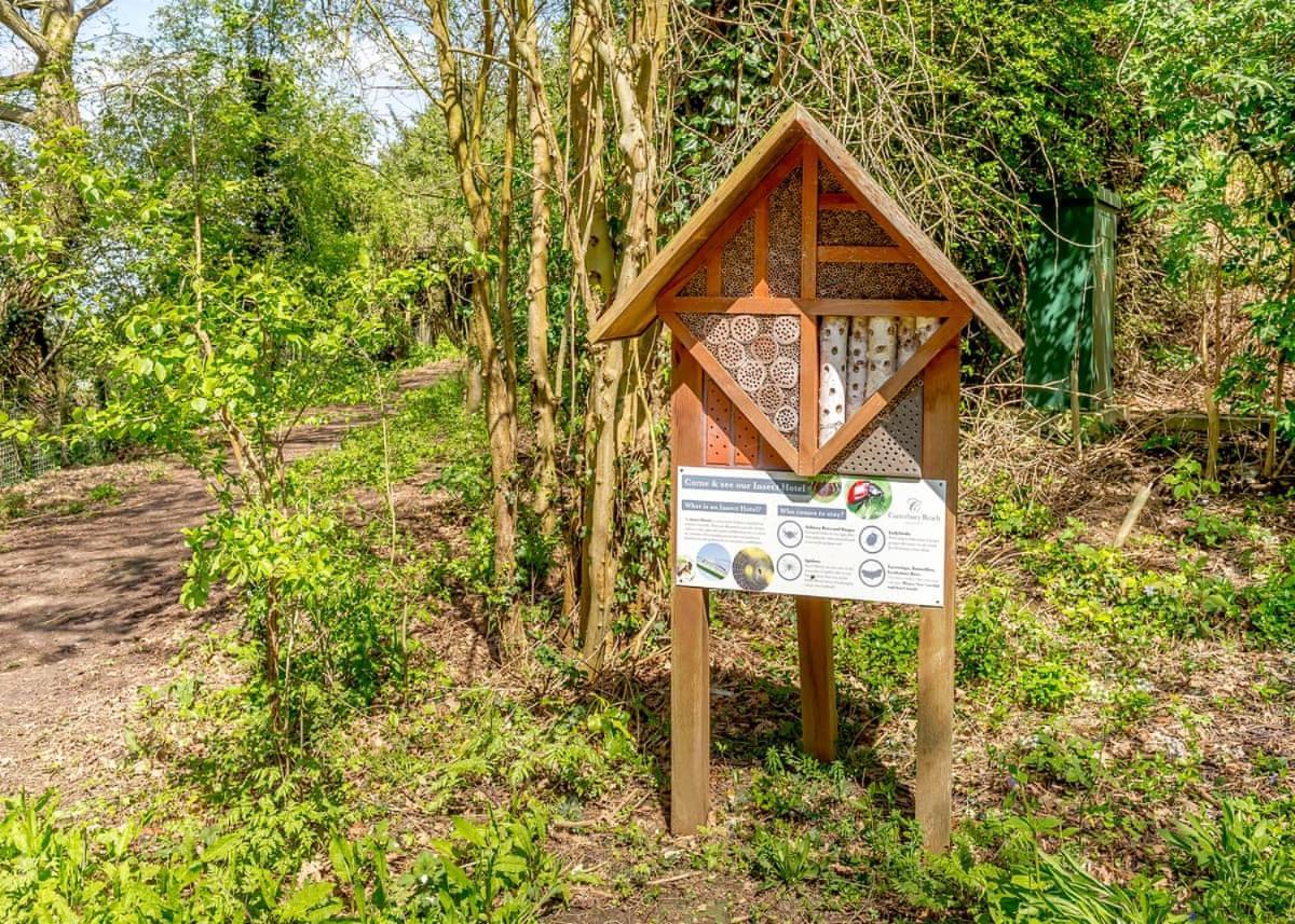 Canterbury Reach Lodge Retreat Petham Esterno foto
